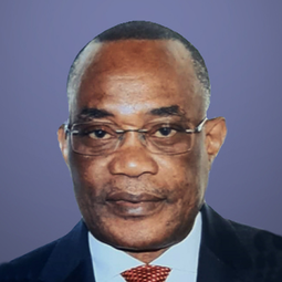 Felix Nwabuko, Chairman of the Board